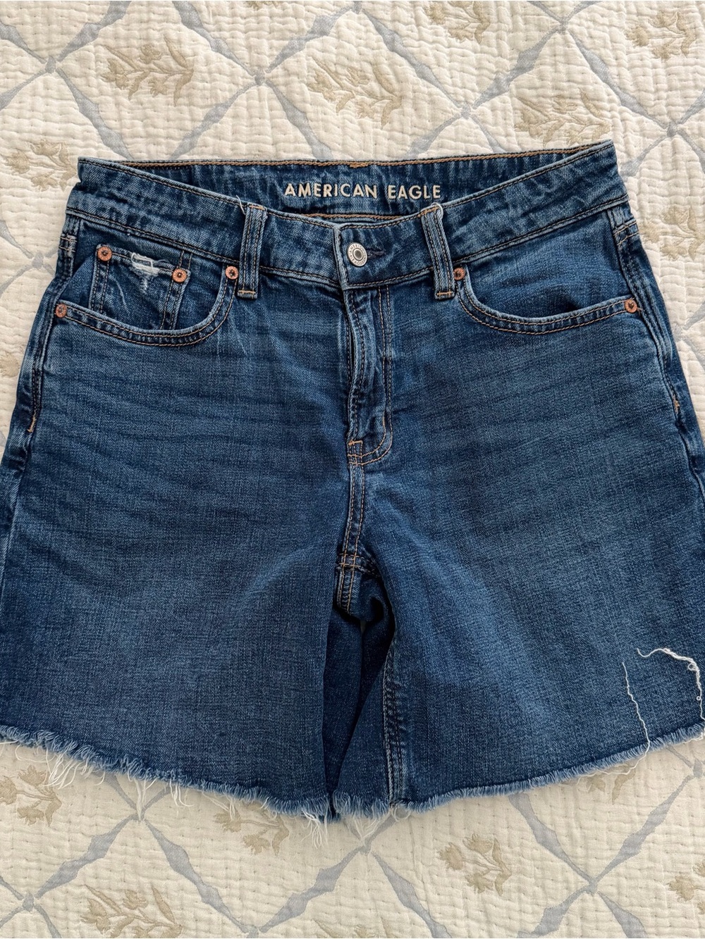 American Eagle Low Rise Baggy Shorts